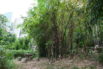 香港动植物公园 - 竹园