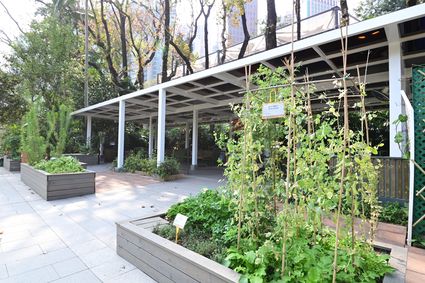 香港動植物公園 - 食用植物園