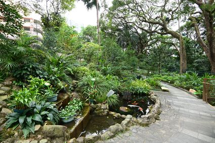 香港动植物公园 - 百草园