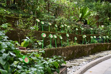 香港动植物公园 - 百草园