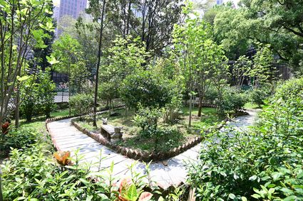 香港动植物公园 - 木兰科植物园