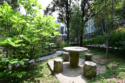 香港动植物公园 - 木兰科植物园
