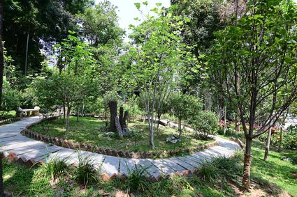 香港动植物公园 - 木兰科植物园