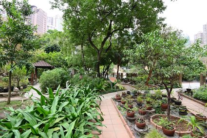 香港動植物公園 - 原生植物園