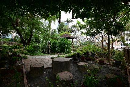 香港動植物公園 - 原生植物園