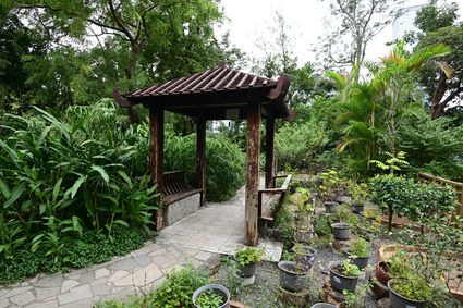 香港動植物公園 - 原生植物園