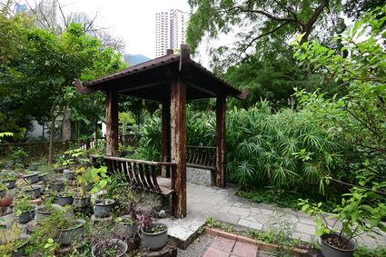 香港動植物公園 - 原生植物園