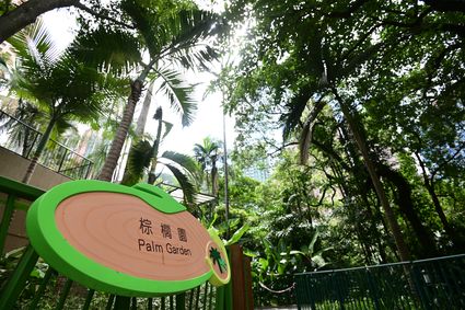 Hong Kong Zoological and Botanical Gardens - Palm Garden