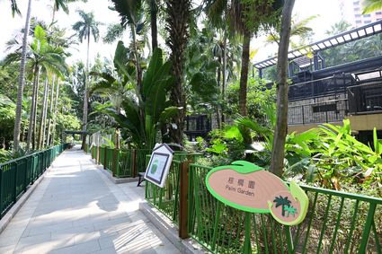 Hong Kong Zoological and Botanical Gardens - Palm Garden