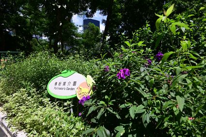 香港动植物公园 - 傳粉媒介園