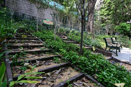 Hong Kong Zoological and Botanical Gardens - Scented Garden